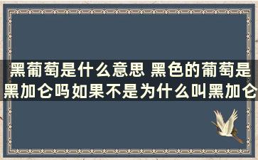 黑葡萄是什么意思 黑色的葡萄是黑加仑吗如果不是为什么叫黑加仑葡萄干，谁能解释